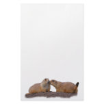 prairie dog kiss stationery