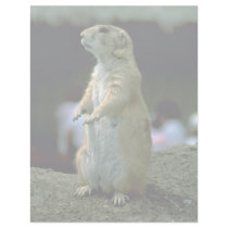Prairie Dog Personalized Letterhead