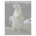 Prairie Dog Personalized Letterhead