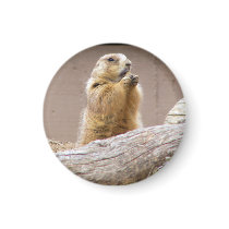 Prairie Dog magnets by crittercircus Prairie Dog magnets