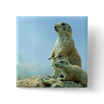 Prairie Dog Mother And Baby Pinback Button