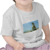 Prairie Dog Mother And Baby Tee Shirts