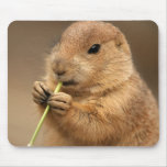 Prairie Dog Mousepad Prairie Dog Mousepad
