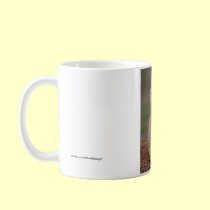 Prairie Dog mugs