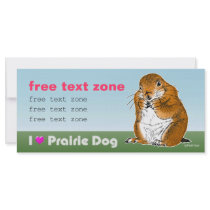 prairie dog photo card rack cards
