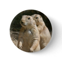 Prairie Dog Photo Round Button