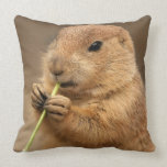 Prairie Dog Pillows Prairie Dog Pillows