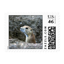 Prairie Dog Postage postage