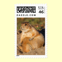 prairie dog stamps