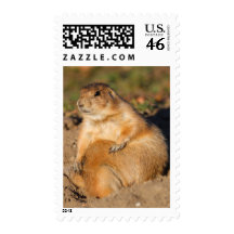 prairie dog postage stamps