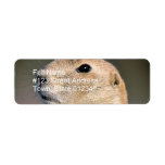 Prairie Dog Return Address Label