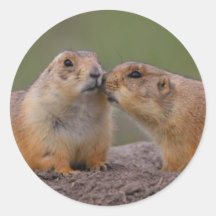 prairie dog round stickers