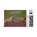 Prairie Dog RSVP Wedding Stamp by WorldDesign Prairie Dog RSVP Wedding Stamp