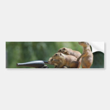 Prairie Dog Soldiers Bumper Sticker
