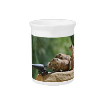 Prairie Dog Soldiers Pitcher