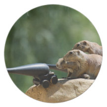 Prairie Dog Soldiers Plate