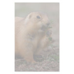 prairie dog customized stationery