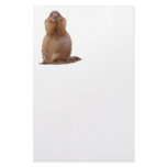prairie dog custom stationery