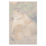 prairie dog stationery