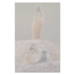 prairie dog custom stationery