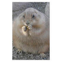 prairie dog stationery paper