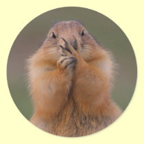 prairie dog stickers