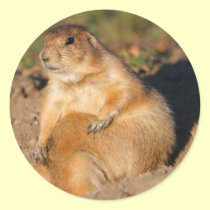 prairie dog stickers