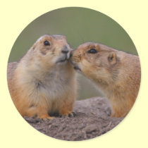 prairie dog stickers