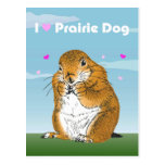 prairie dog which stands (1) post cards