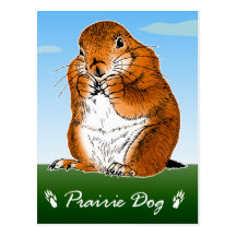 prairie dog which stands post card