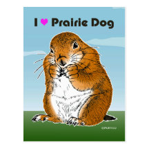 prairie dog which stands post card