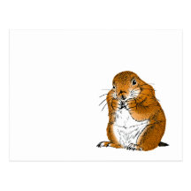 prairie dog which stands post card