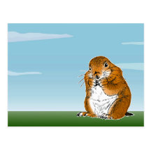 prairie dog which stands post cards