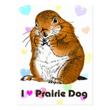prairie dog which stands postcards
