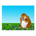 prairie dog which stands postcards