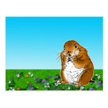 prairie dog which stands postcards