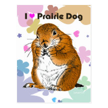 prairie dog which stands postcards