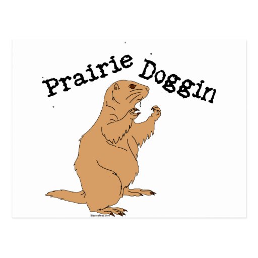 Prairie Doggin Post Card