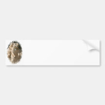 Prairie Dogs Bumper Sticker