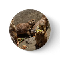 Prairie Dogs Eating Dinner 1 Pinback Button