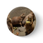 Prairie Dogs Eating Dinner 1 Pinback Button
