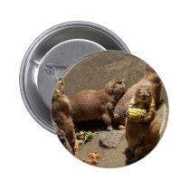 Prairie Dogs Eating Dinner 1 buttons