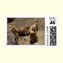 Prairie Dogs Eating Dinner 1 postage by WildAnimalArt Prairie Dogs Eating Dinner 1 postage