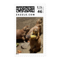 Prairie Dogs Eating Dinner 1 postage