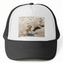 prairie dogs hats