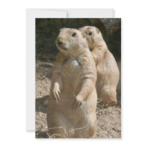 Prairie Dogs Invitation