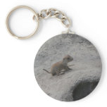 Prairie Dogs Key Chains