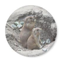 Prairie Dogs magnets by lifeisahighway Prairie Dogs magnets