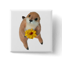prairie dog's stuffed toy pinback button