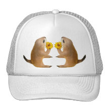 prairie dog's stuffed toy hats